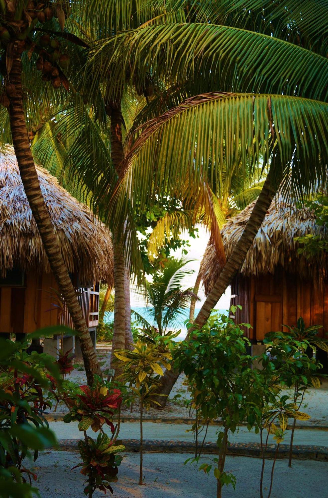 בליז סיטי St. George'S Caye Resort חדר תמונה